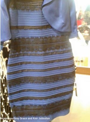 Figure 4 - This image went viral because people are divided in what they perceive-either you see a blue and black dress, or you see a white and gold dress [24]. Which do you see?